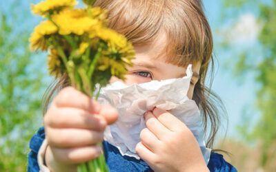 La primavera, la estación de las rinitis alérgicas