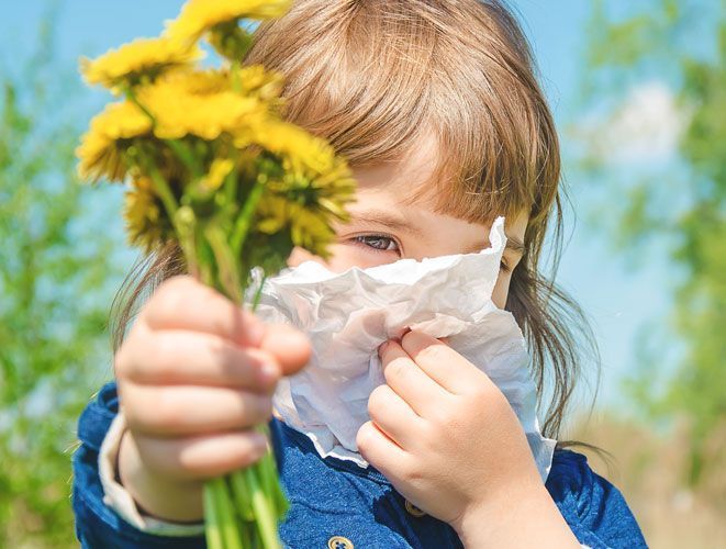 La primavera, la estación de las rinitis alérgicas