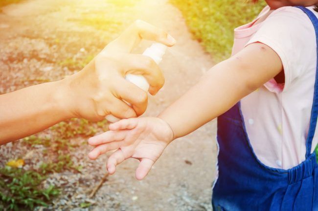 Los aceites esenciales, tu aliado natural en la lucha contra los mosquitos