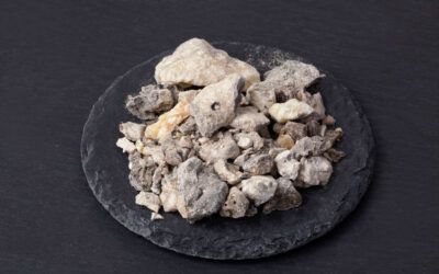 Copaiba y su emblemática molécula Beta-cariofileno ¿Milagrosos?