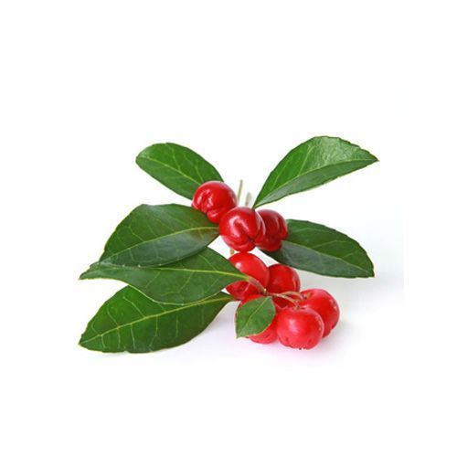 Aceite esencial Gaulteria (Wintergreen) Bio 10ml