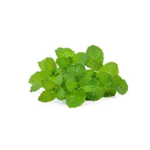 Aceite esencial de Menta campo Bio 10ml