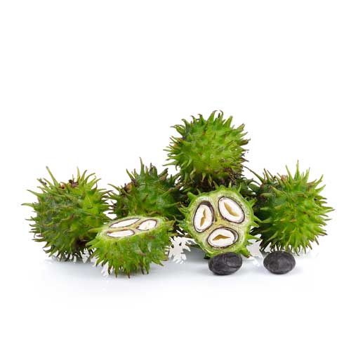 aceite vegetal de ricino bio y vegano 100% natural
