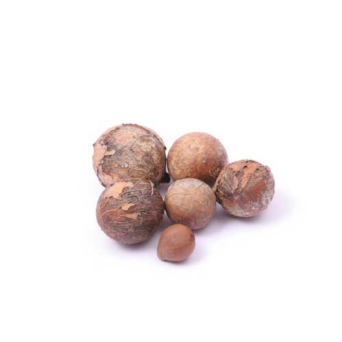 aceite-vegetal-semillas-de-tamanu