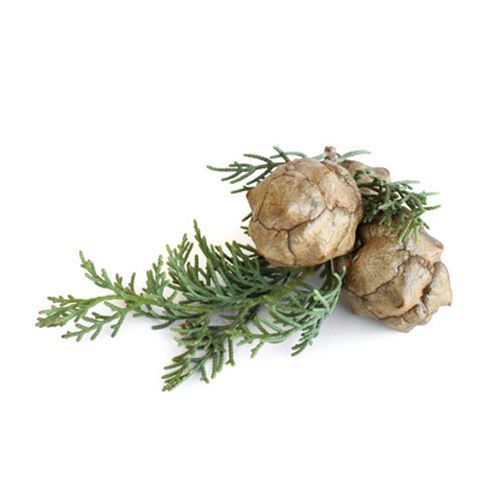 Aceite esencial de Ciprés Bio 5ml