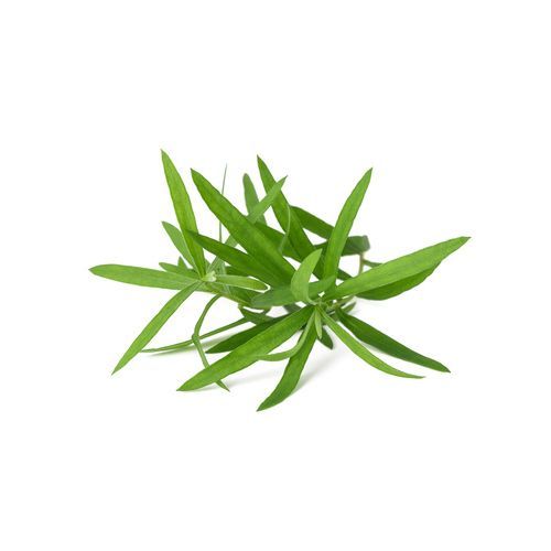 Aceite esencial de Estragón 5ml