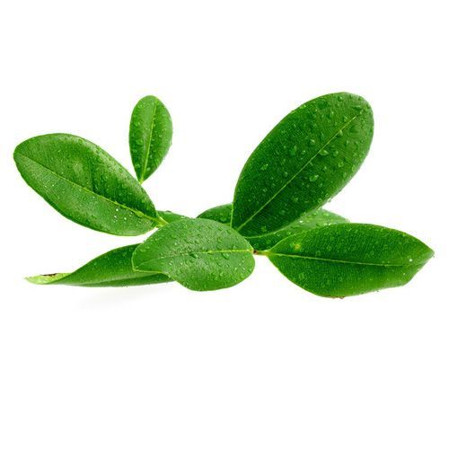 Aceite esencial de Ravintsara BiO 30ml