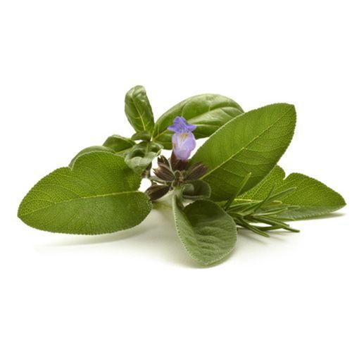 Aceite esencial de Salvia común BiO10ml