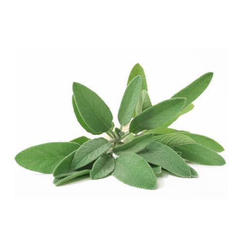 Aceite esencial de Salvia romana Bio 10ml
