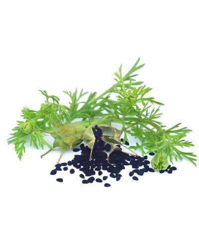 Aceite vegetal Comino negro o Ajenuz BiO