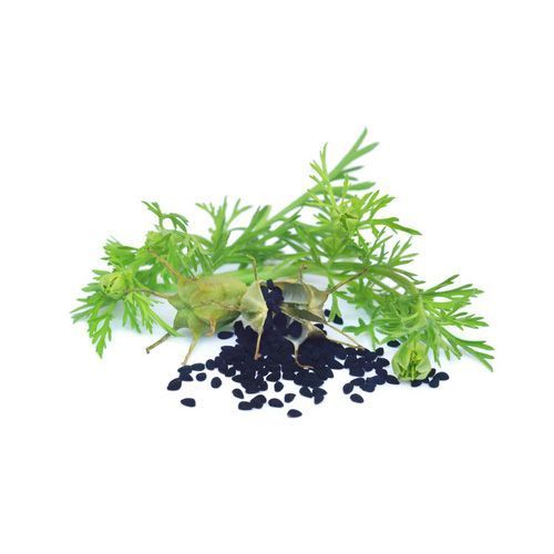 Aceite vegetal Comino negro o Ajenuz BiO