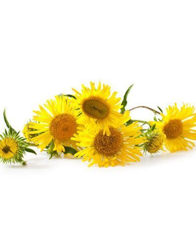 Aceite esencial Olivardilla Bio