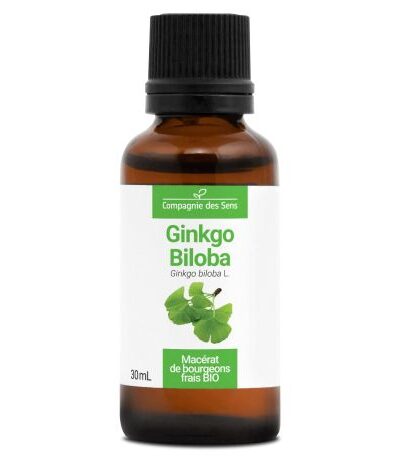 Ginkgo biloba BIO – Macerado concentrado de yemas frescas - 30ml