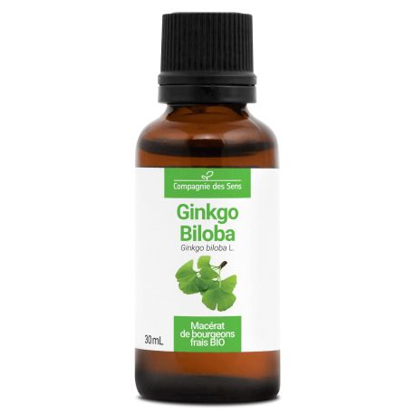 Ginkgo biloba BIO – Macerado concentrado de yemas frescas - 30ml