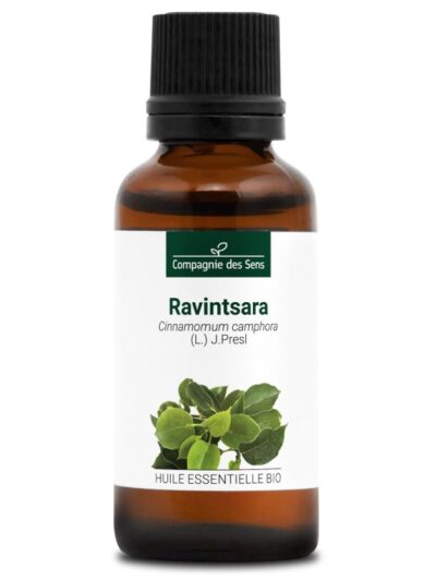 Aceite esencial de Ravintsara BIO – Cinnamomum camphora
