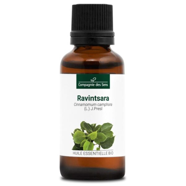 Aceite esencial de Ravintsara BIO – Cinnamomum camphora