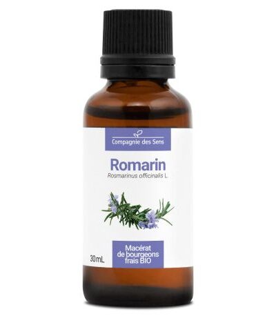 Romero BIO – Macerado concentrado de yemas frescas - 30ml